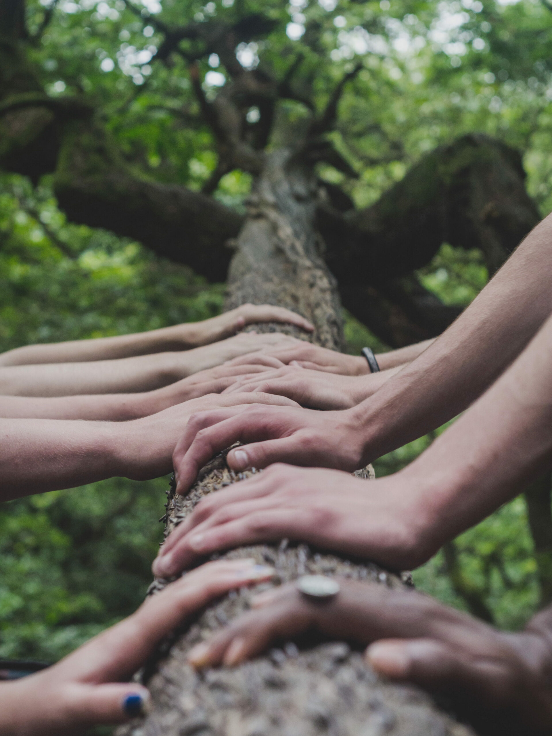 MMCFs: Introducing Otto International's Policy 1 Oi 050 Hands Team 2023 edited scaled